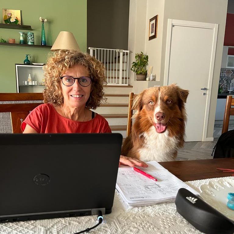 0567ec47-16cf-4e9c-9872-561b6952a45d