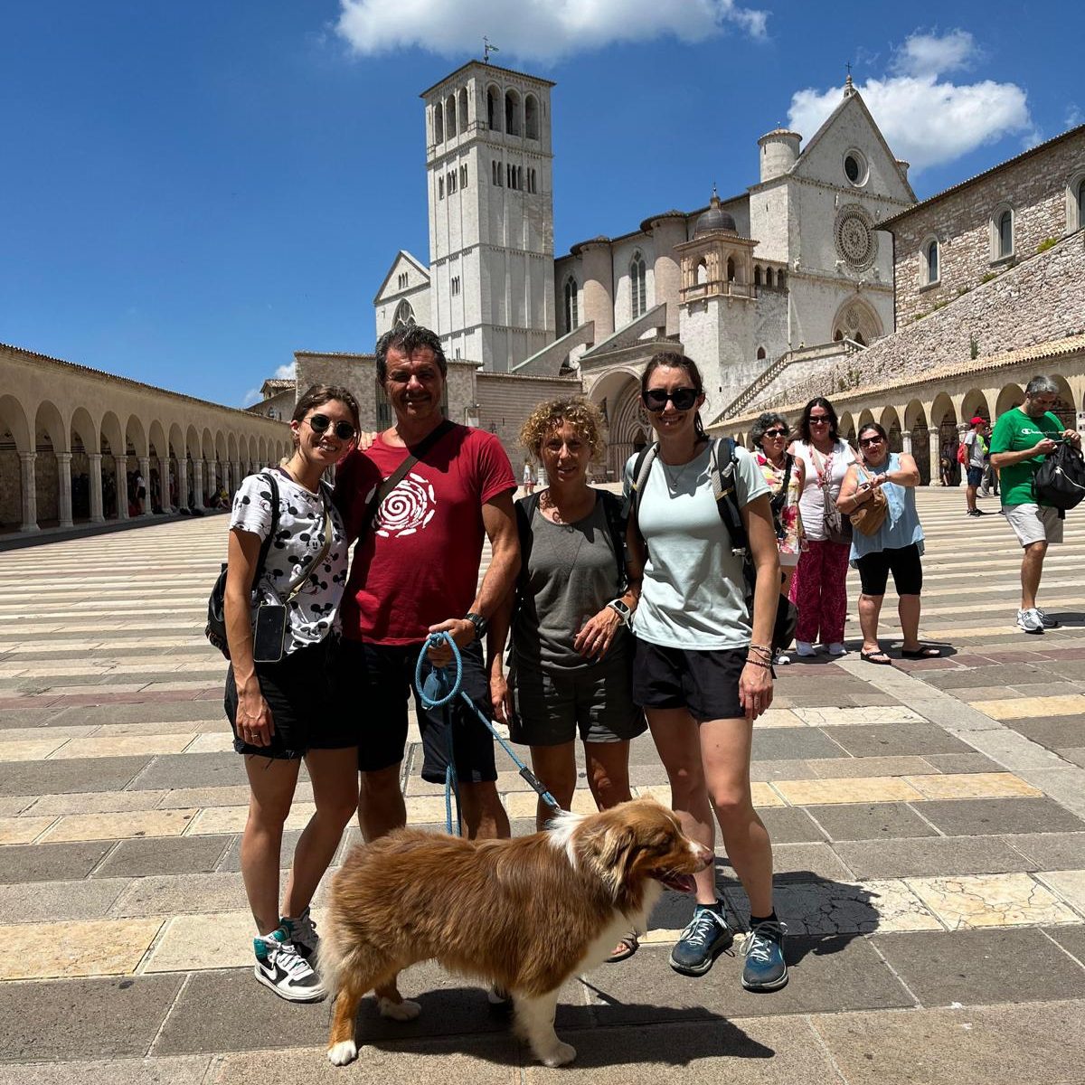 49e4a187-6c8f-4225-bf61-64a6827f4a87