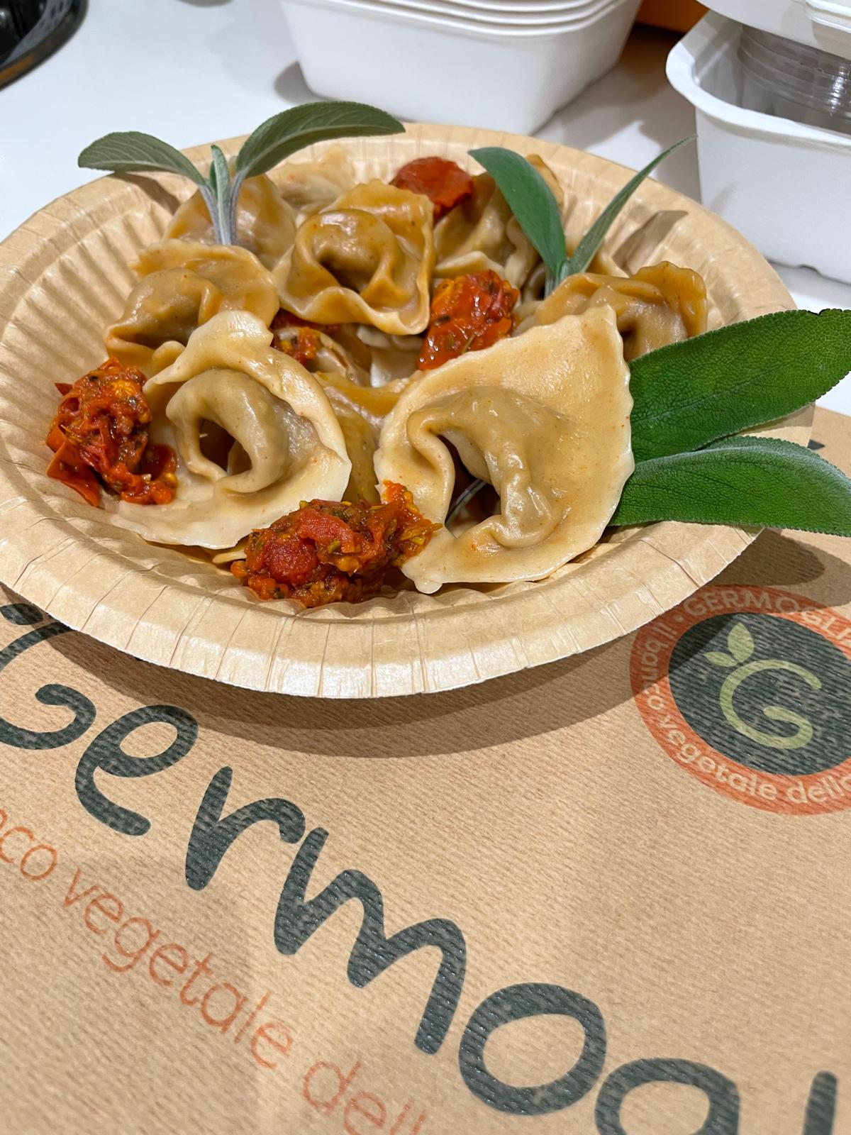 WhatsApp Image 2026-02-20 at 13.02.14